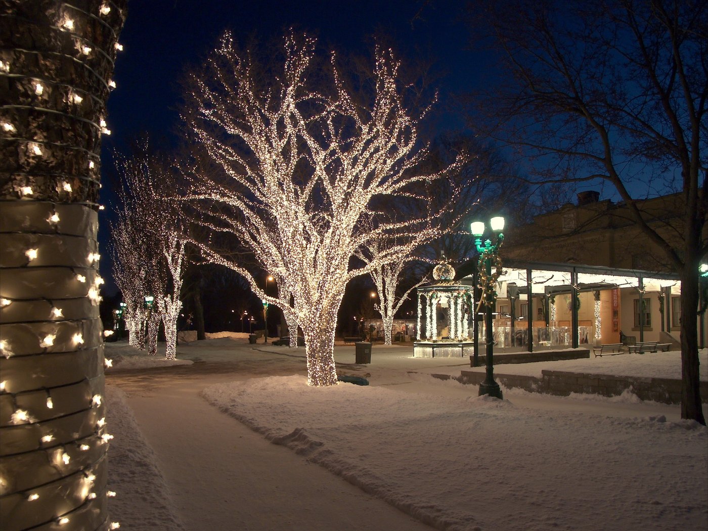 Parc municipal décoré de lumières des Fêtes